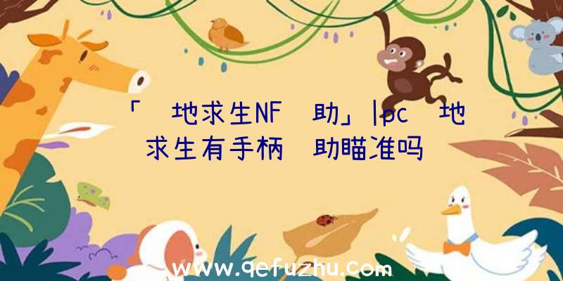 「绝地求生NF辅助」|pc绝地求生有手柄辅助瞄准吗